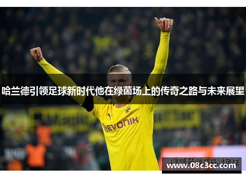 哈兰德引领足球新时代他在绿茵场上的传奇之路与未来展望